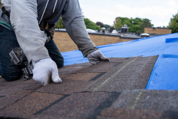 Best Storm Damage Roof Repair  in Weaver, AL